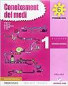 QUAD.CONEIX 6E.PRIM.(TORNASSOL)