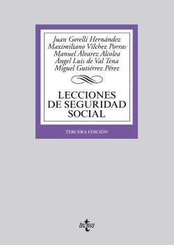 Lecciones de seguridad social