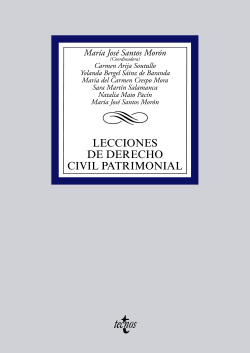 Lecciones de derecho civil patrimonial