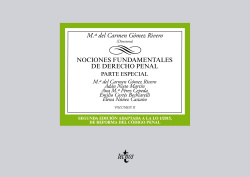 Nociones fundamentales de Derecho Penal
