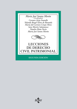LECCIONES DE DERECHO CIVIL PATRIMONIAL 2017