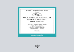 Nociones fundamentales de Derecho Penal