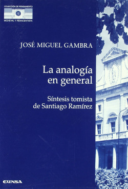 La analogia en general