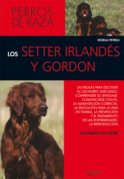 Los setter irlandés y gordon