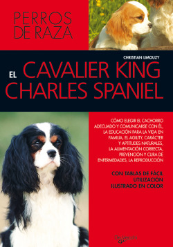 El cavalier King Charles spaniel