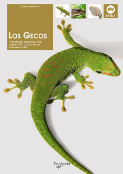 Los Gecos