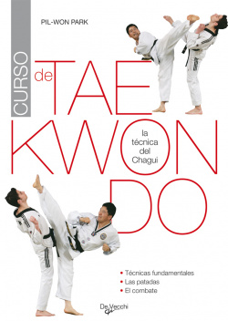 Curso de taekwondo