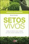 Setos vivos: Elementos decorativos y ecologicos de tu jardin