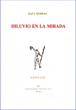 Diluvio en la mirada
