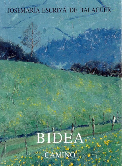 Bidea Camino
