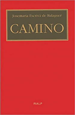 Camino