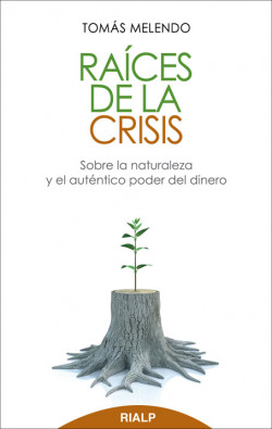 Raices de la crisis