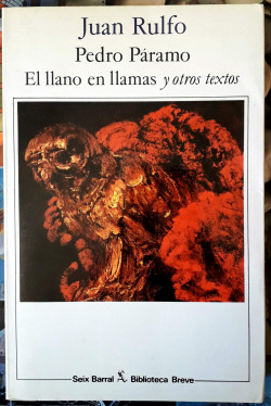 PEDRO PARAMO / EL LLANO EN LLAMAS Y OTROS TEXTOS