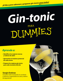 Gin-tonic para dummies