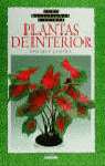 COMO SELECCIONAR Y CUIDAR PLANTAS DE INTERIOR