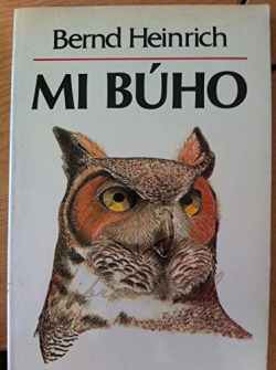 MI BUHO