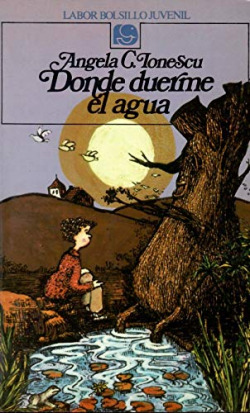 DONDE DUERME EL AGUA