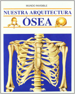 NUESTRA ARQUITECTURA OSEA