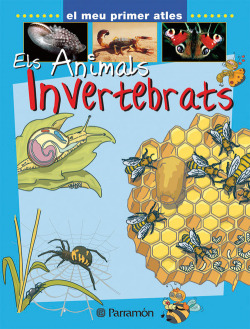 Els animals invertebrats