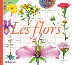 FLORS