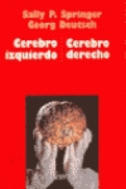 Cerebro izquierdo-cerebro derecho
