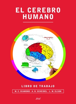 Cerebro humano: libro de trabajo