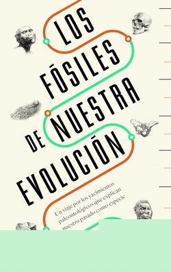 LOS FÓSILES DE NUESTRA EVOLUCIÓN