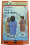 Charcos en el camino