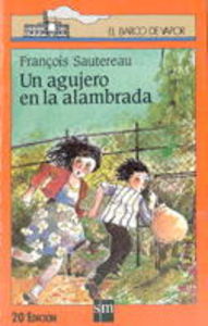 Bvn. 6 un agujero en la alambrada
