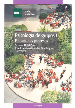 Psicología de grupos I : estructura y procesos