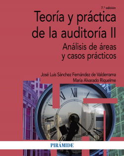 TEORÍA Y PRACTICA DE LA AUDITORÍA II