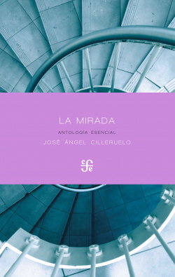 LA MIRADA