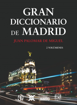 GRAN DICCIONARIO DE MEDRID (2T)