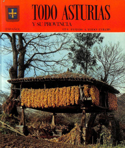 TODO ASTURIAS Y SU PROVINCIA