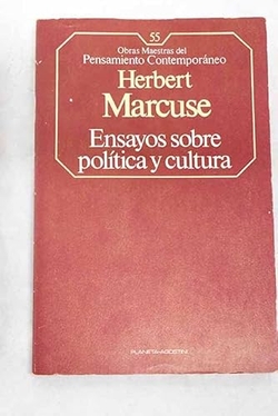 Ensayos sobre política y cultura