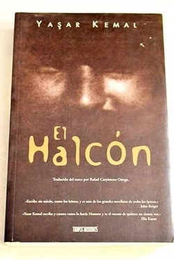 El halcón