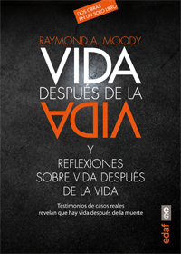 Vida después de la vida