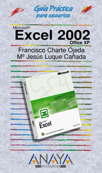 Excel 2002