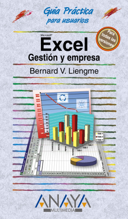 Excel. gestion y empresa