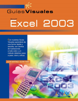 Excel 2003