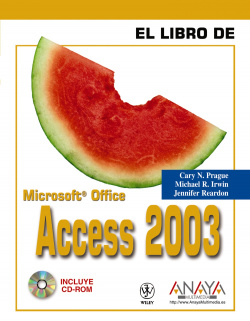 Access 2003