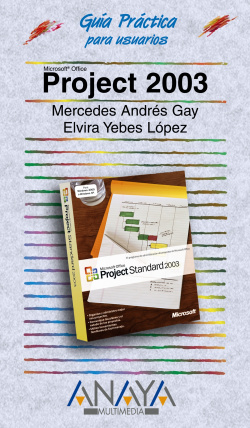 Project 2003