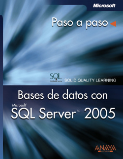 Bases de datos son SQL Server 2005