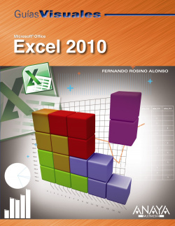 Excel 2010