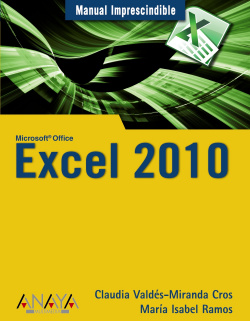 Excel 2010
