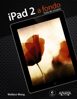IPad 2 a fondo