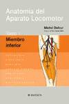 1.Anatomía del Aparato Locomotor: Miembro inferior