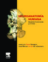 Neuroanatomía Humana