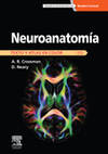 NEUROANATOMIA. TEXTO Y ATLAS
