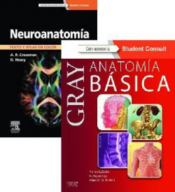ANATOMIA BASICA+NEUROANATOMIA